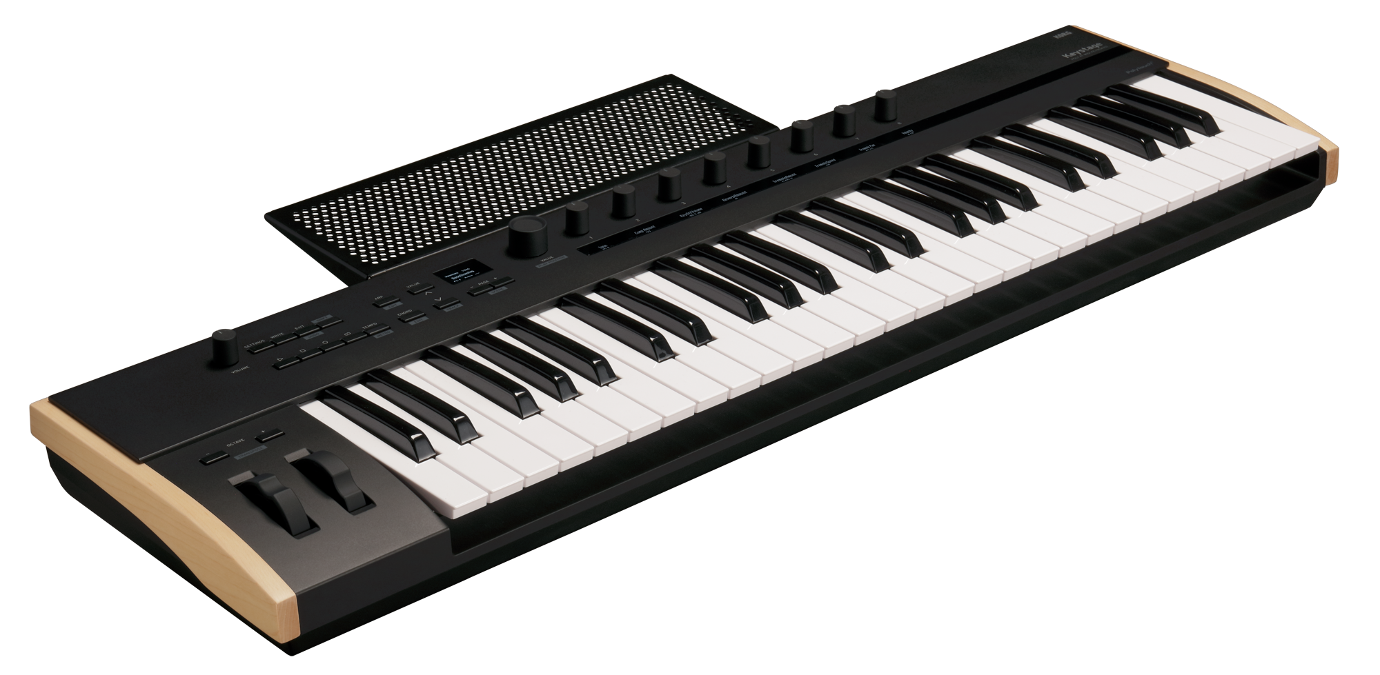 KORG Keystage MIDI 2.0-Keyboard mit 49 Tasten